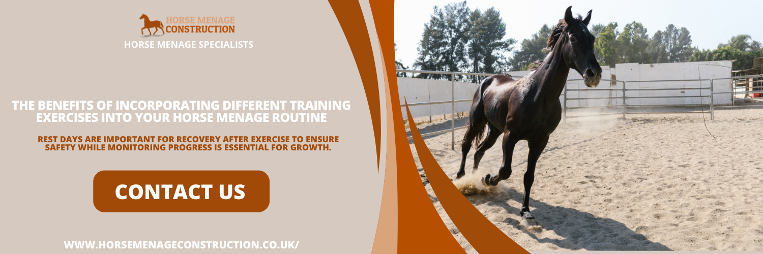 The Benefits of Incorporating Different Training Exercises into your Horse Menage Routine