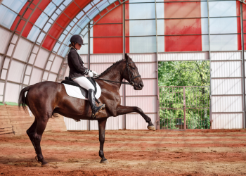 The Benefits of Incorporating Different Training Exercises into your Horse Menage Routine