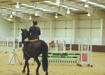 Comparing Indoor and Outdoor Menages: A Guide to Horse Riding Arenas & Equestrian Facilities